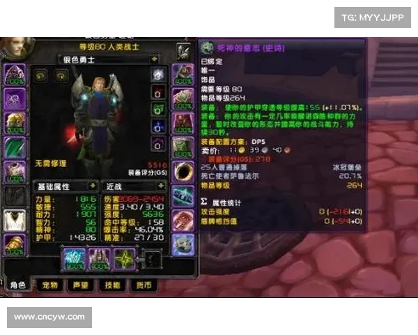 魔兽世界战士狂暴：装备之道